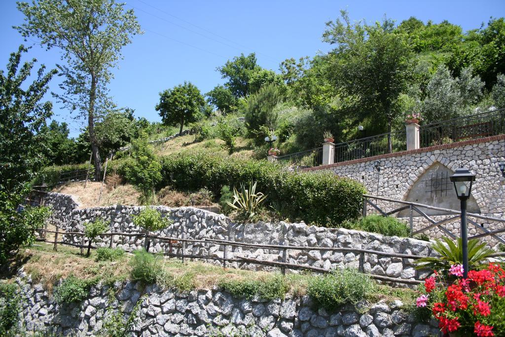 Agriturismo La Grotta Corbara  Exteriör bild